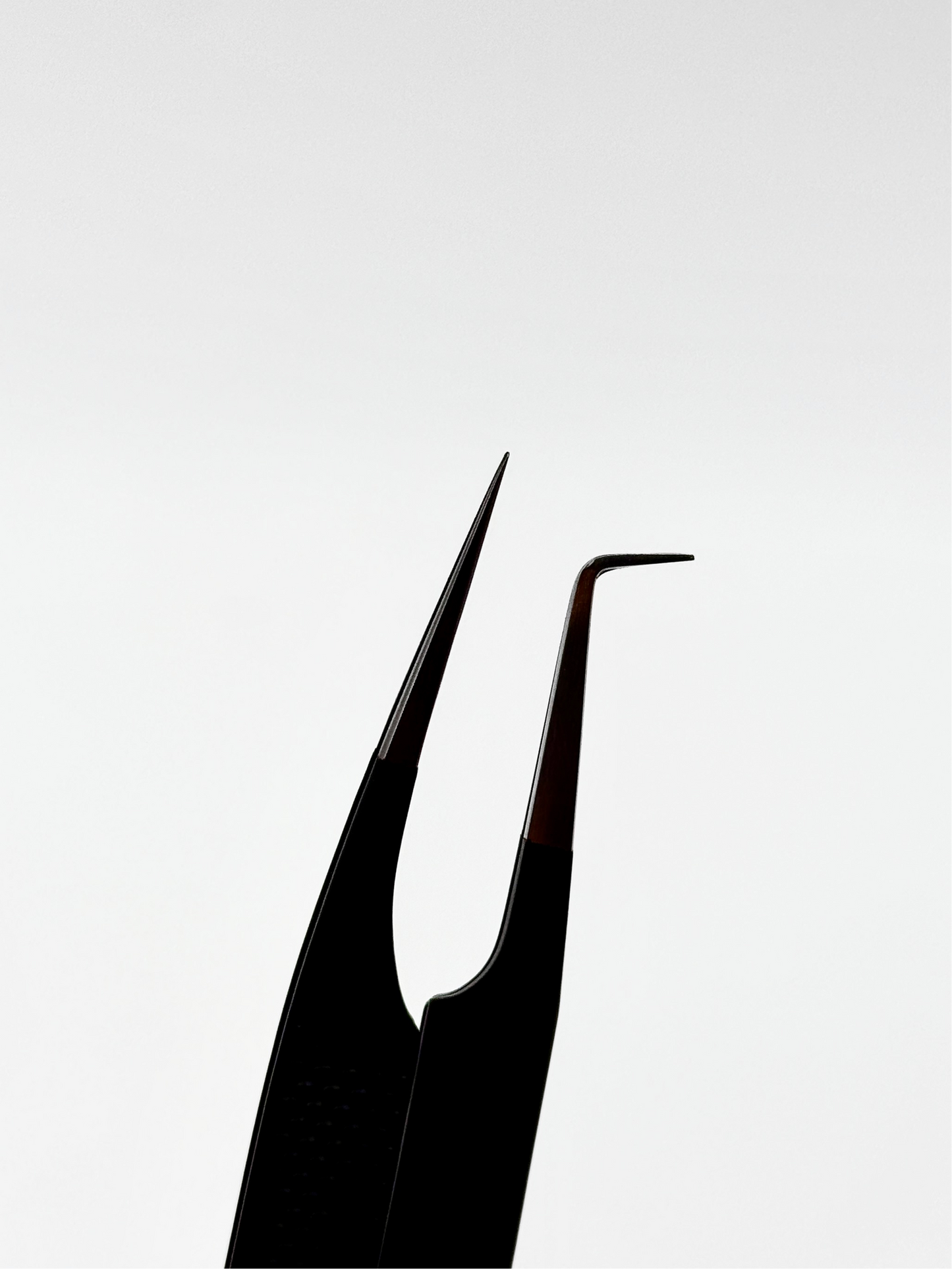 Megalicious DUO  🖤